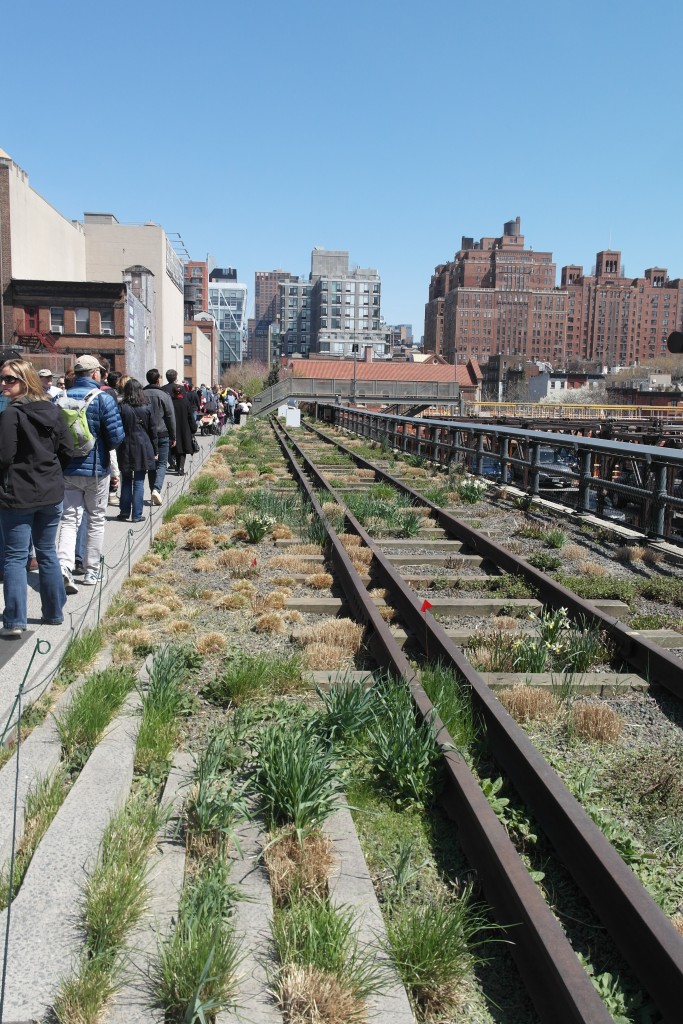 High Line Park in NYC