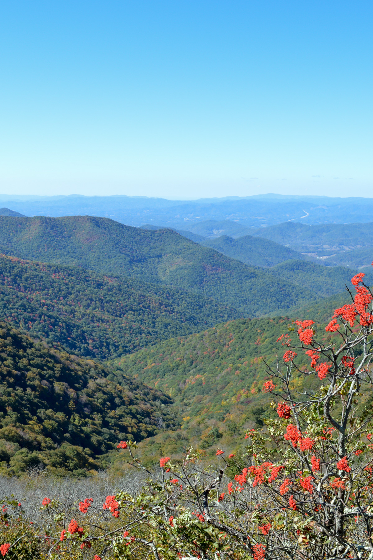 Plan your Blue Ridge Parkway Road Trip through North Carolina with our guide, including suggestions for sightseeing, food, and beer!